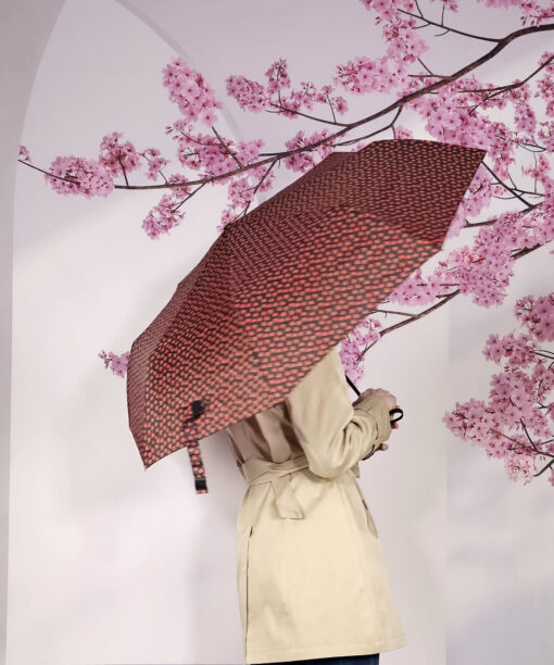 Alternative view of Paraguas San Valentín